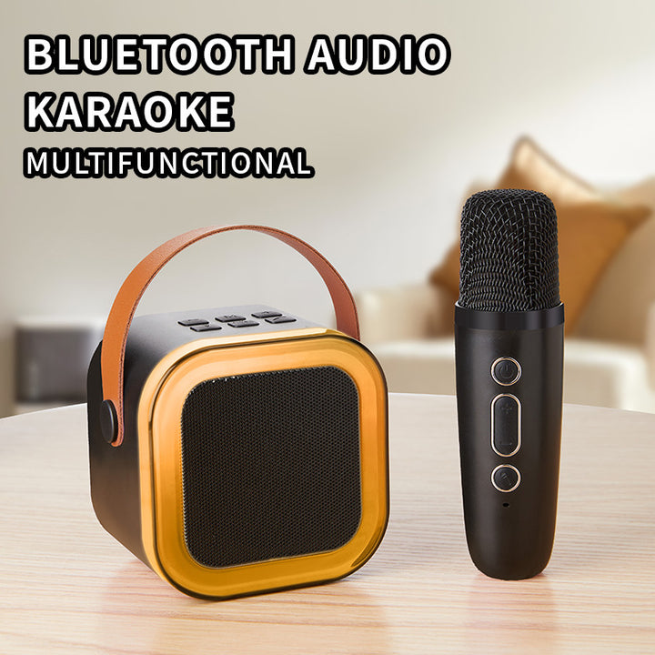 Portable karaoke speaker with Bluetooth function Stornfield