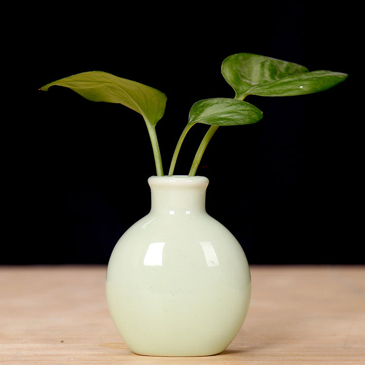 Miniature Ceramic Plant Holder Stornfeild