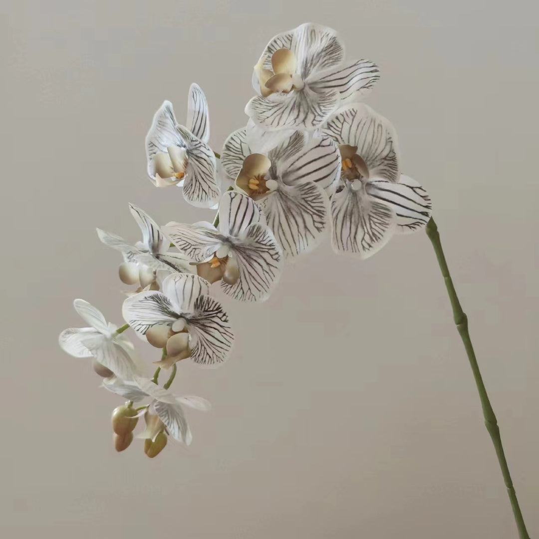 Realistic Orchid Flower Stem