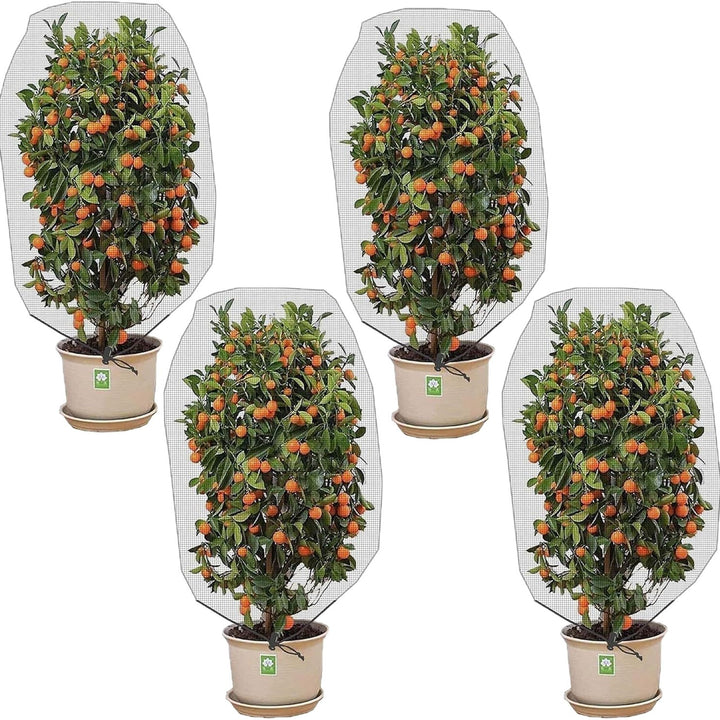 Plant Protection Cover Stornfield