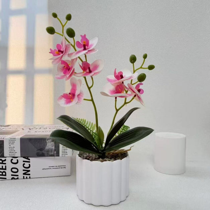 Home Decorative Artificial Orchid for Indoor Decorative Display