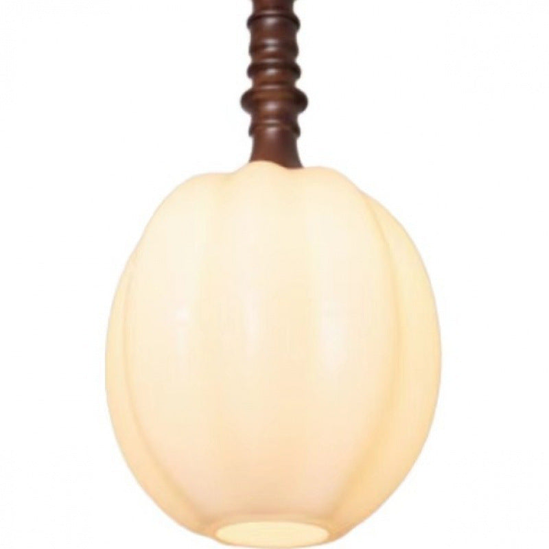 Modern Elegant Hanging Pendant Light