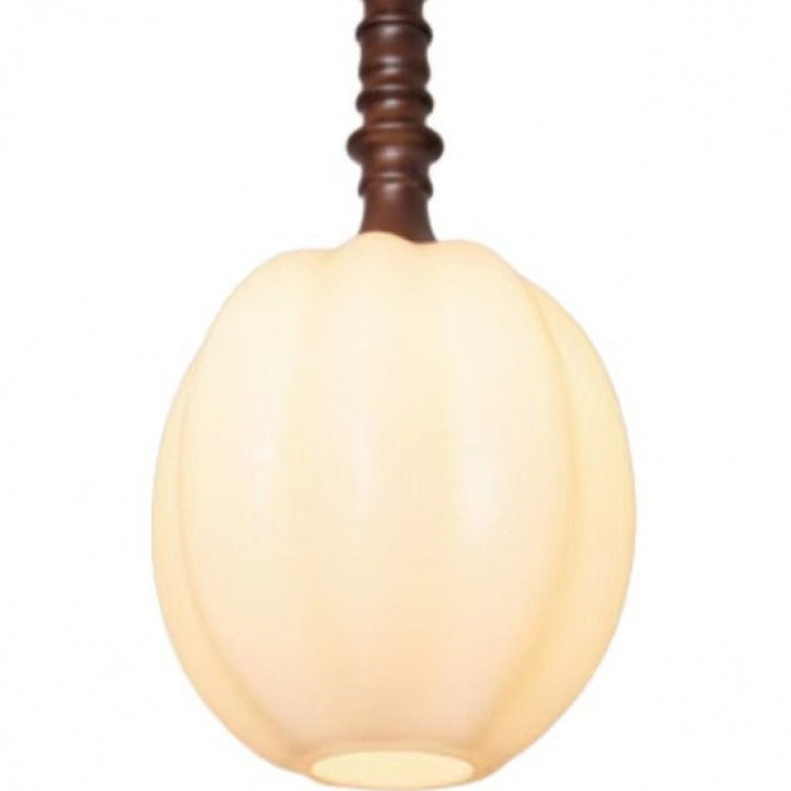 Modern Elegant Hanging Pendant Light