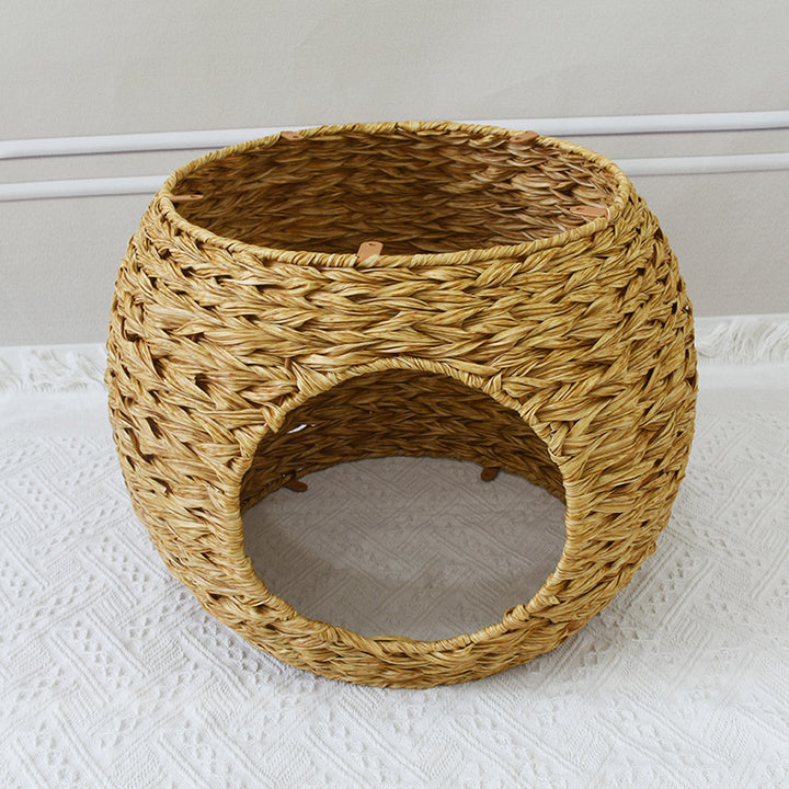 Pet Cave Stornfield