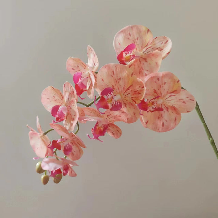 Lifelike Orchid Floral Stem