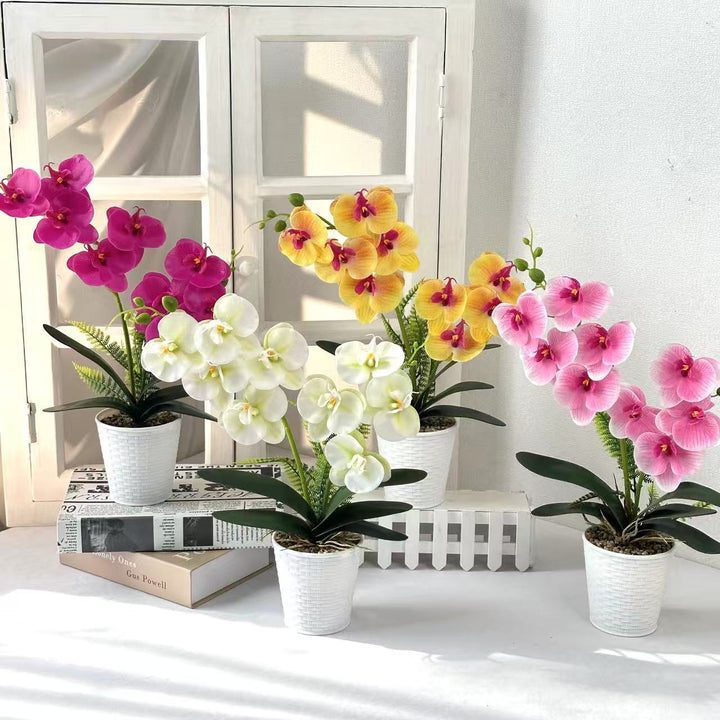 Decorative Orchid Plant for Indoor Home Decor