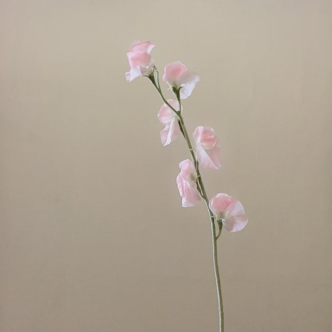 Elegant Silk Sweet Pea Stem