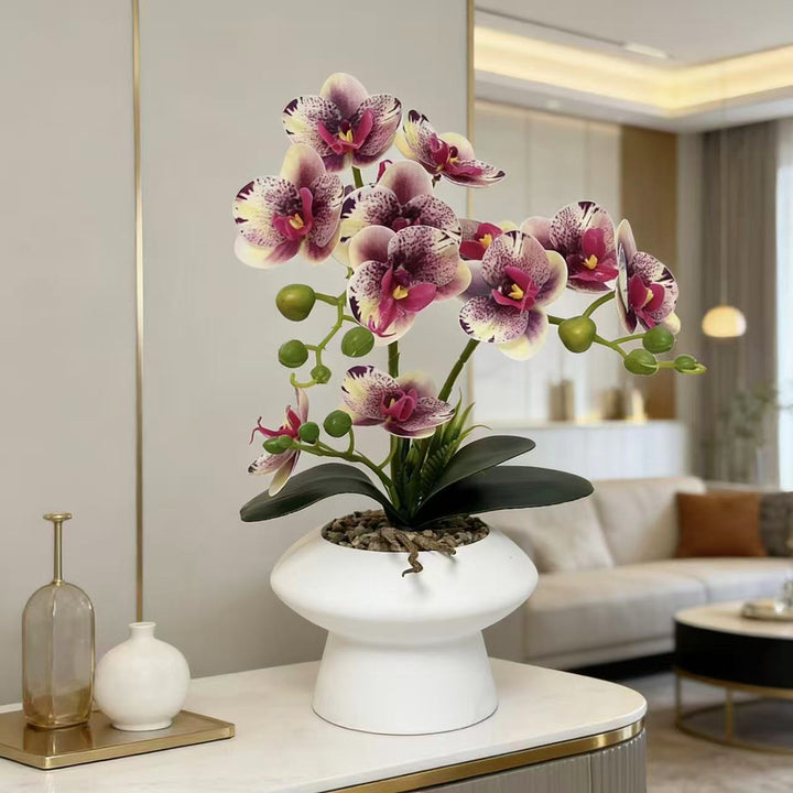 Decorative Orchid Flower Arrangement for Home Display