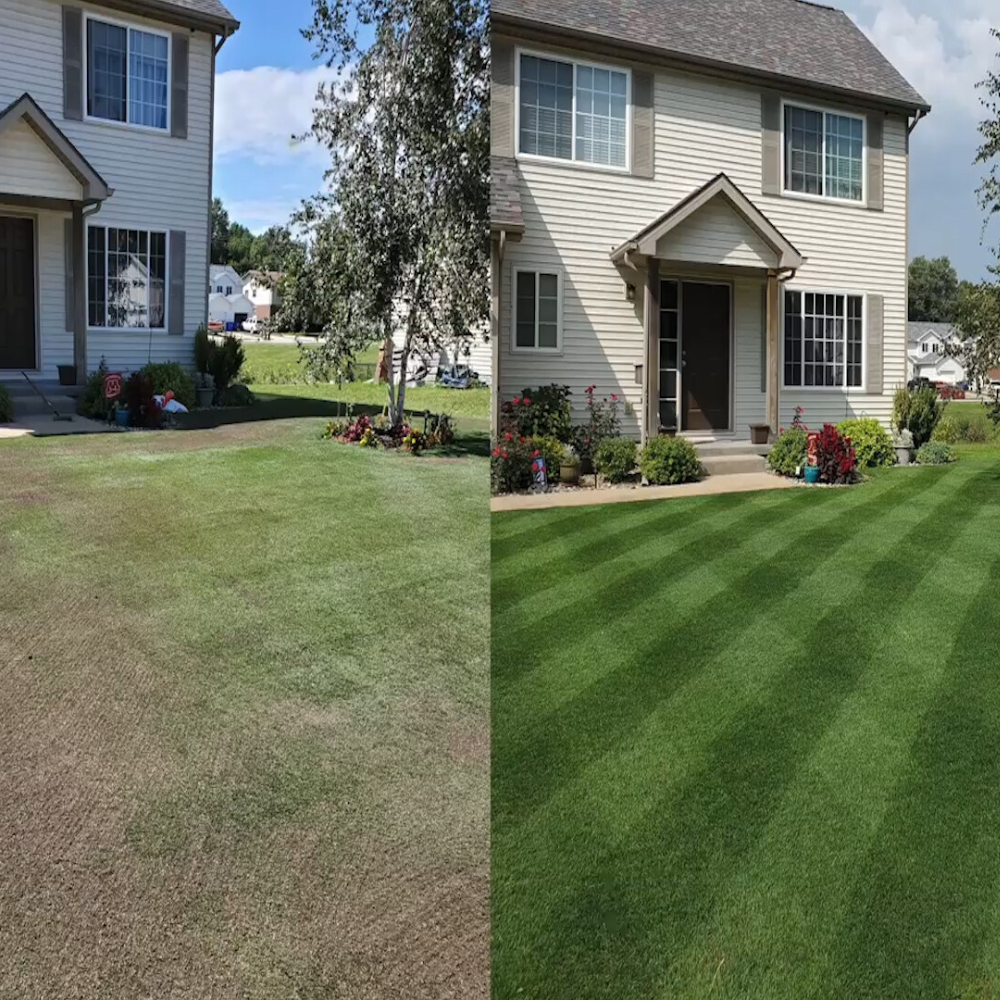 Green Grass Growth Spray | Spray your new lawn! | Stornfield