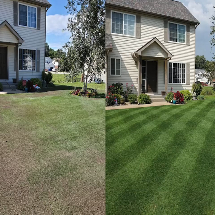 Green Grass Growth Spray | Spray your new lawn! | Stornfield