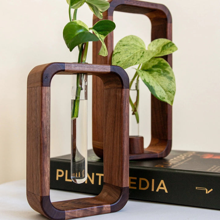 Stornfield Hollow Plant Propagator