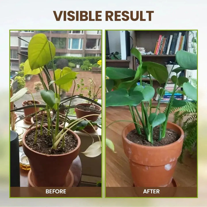 Stornfield | Organic Soil Activator for Robust Plant Growth