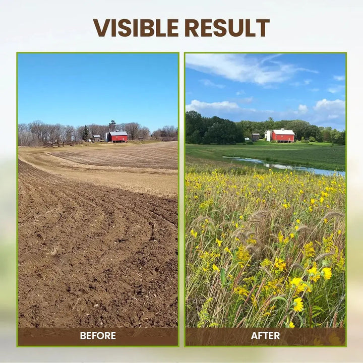 Stornfield | Organic Soil Activator for Robust Plant Growth