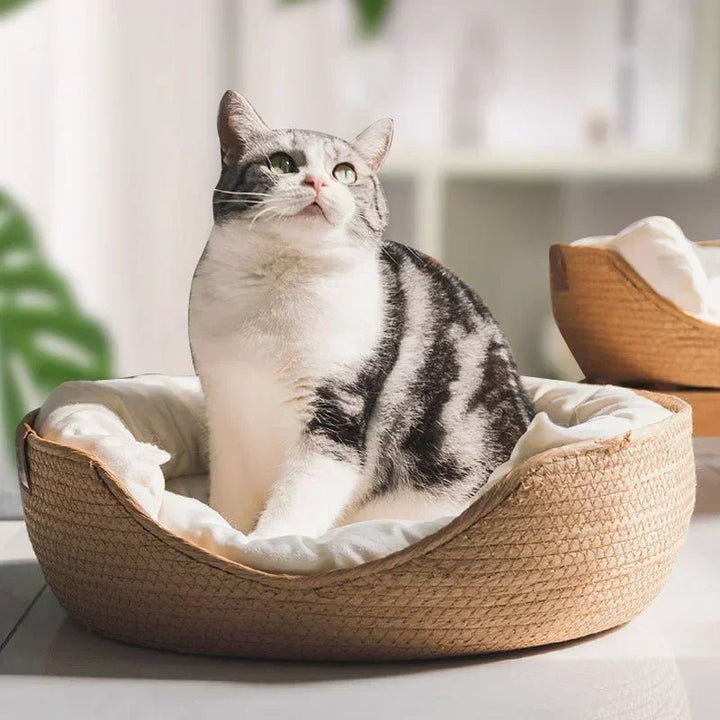 Stornfield | Eco-friendly cat sofa with breathable cotton design