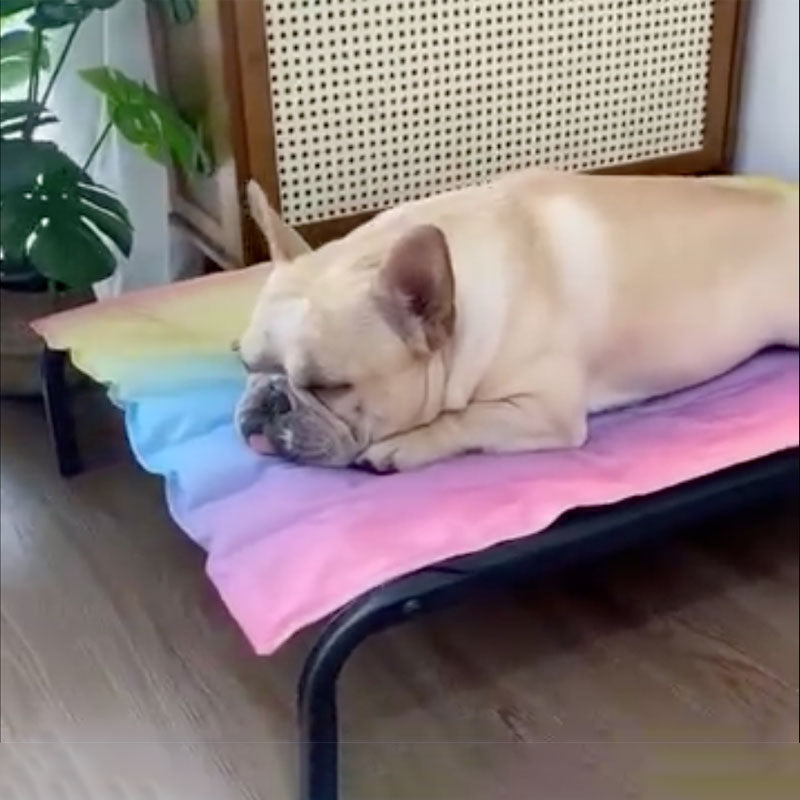 IcePup Frenchie Summer Cooling Mat with Advanced Ice Tech | Stornfield