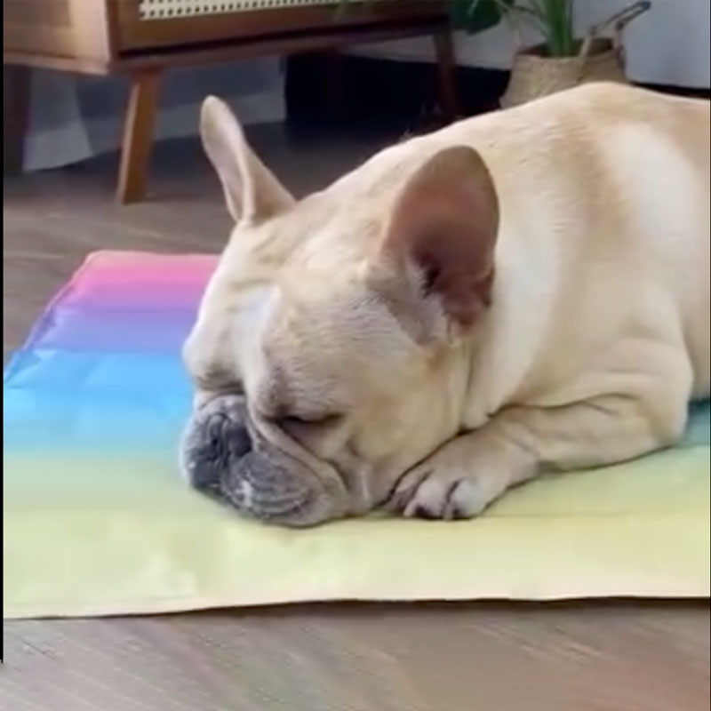 IcePup Frenchie Summer Cooling Mat with Advanced Ice Tech | Stornfield