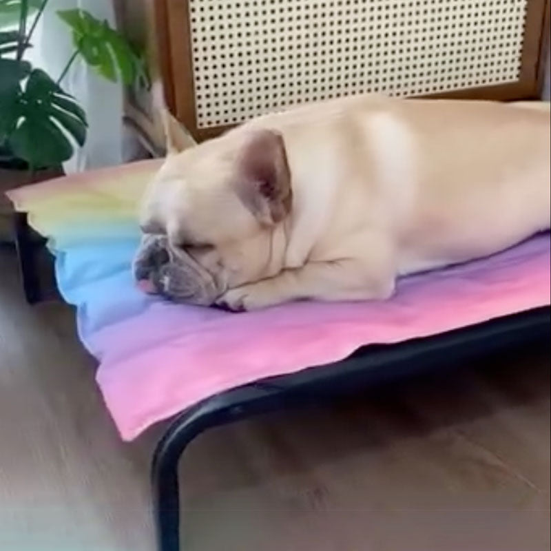 IcePup Frenchie Summer Cooling Mat with Advanced Ice Tech | Stornfield