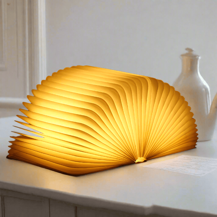 Stornfield | Frendorf Book Light