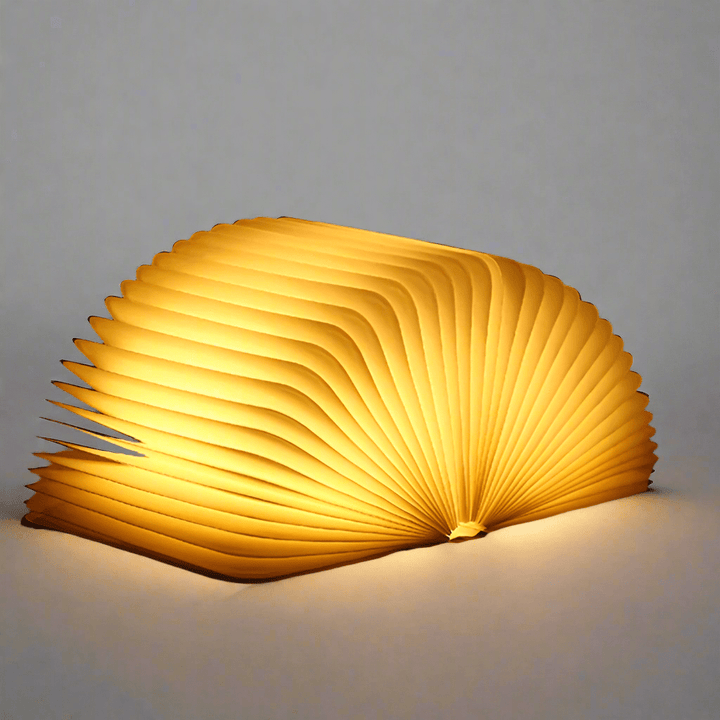 Stornfield | Frendorf Book Light