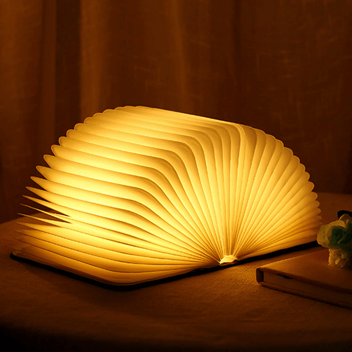 Stornfield | Frendorf Book Light