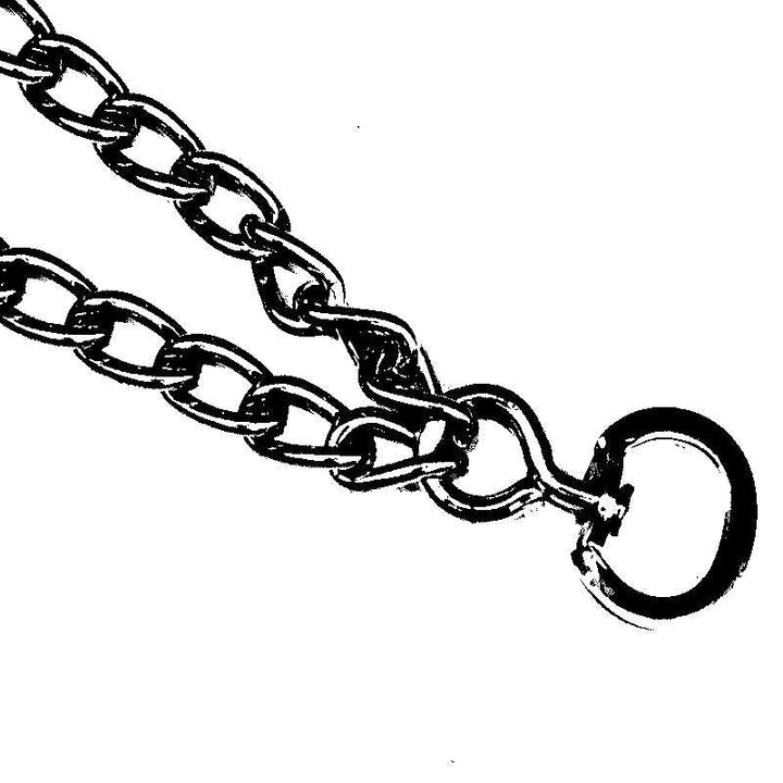 Pinch Collar For Dogs | Stornfield