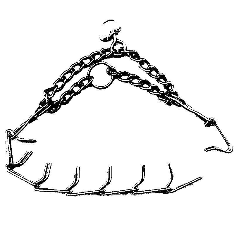 Pinch Collar For Dogs | Stornfield