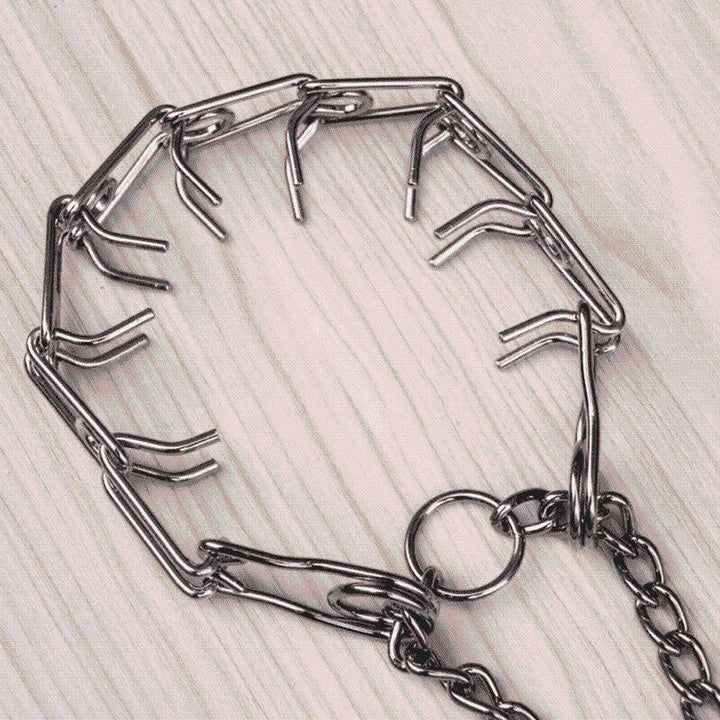 Pinch Collar For Dogs | Stornfield