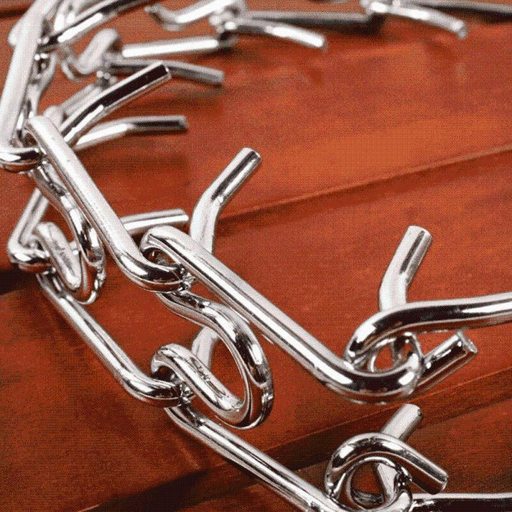 Pinch Collar For Dogs | Stornfield