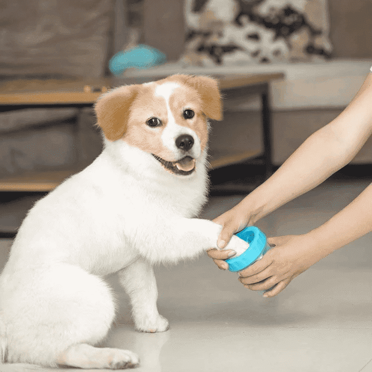 Portable Pet Paw Cleaner | Stornfield