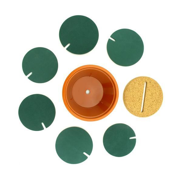 Potted Cactus Coasters | Stornfield