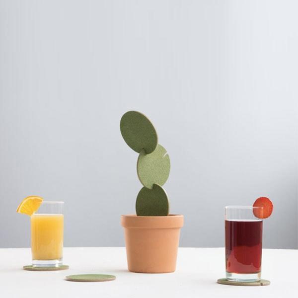 Potted Cactus Coasters | Stornfield