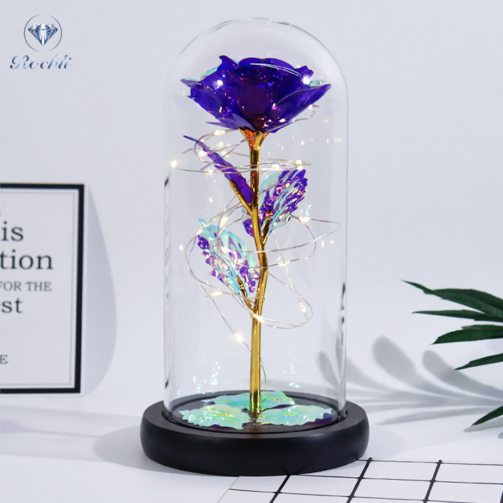 Rose in Glass Dome Display | Stornfield
