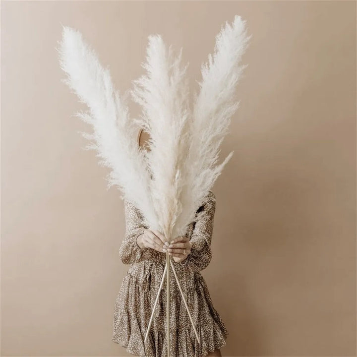 Stornfield | FeatherFawn - Dried Pampas Flowers