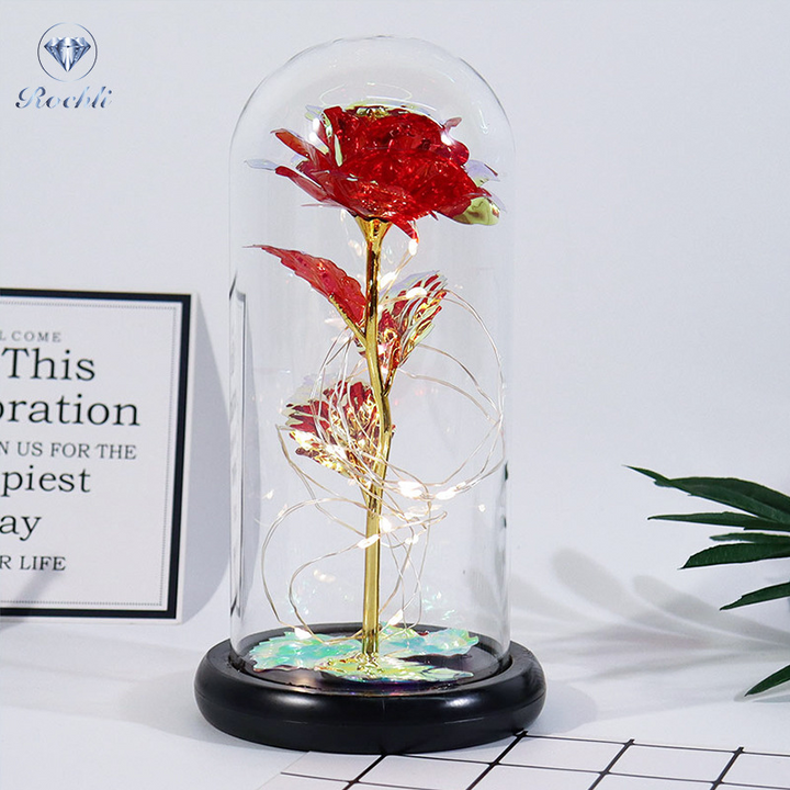 Rose in Glass Dome Display | Stornfield