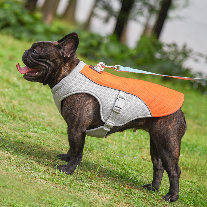 French Bulldog Summer Cooling Vest Heat Resistant Breathable Sun-proof | Stornfield