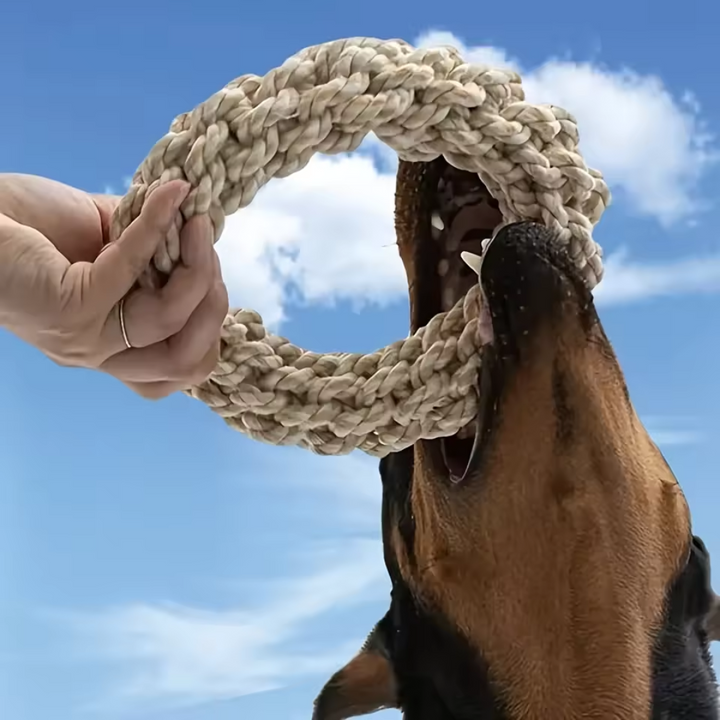 Stornfield robust cotton chew ring for dogs