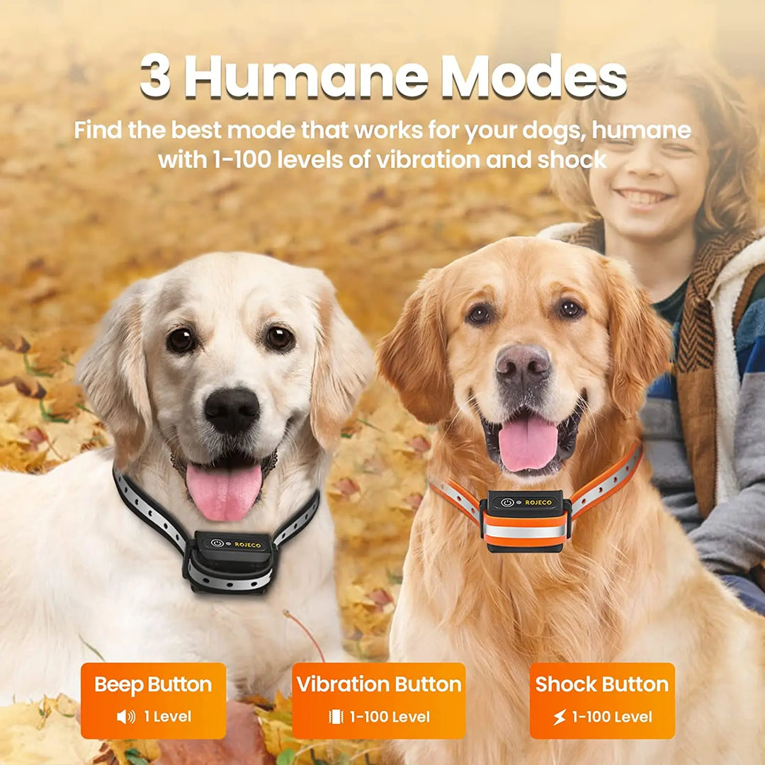 Stornfield | Remote-Controlled Dog Training Collar | Rechargeable, Waterproof & 1000m Range for Effective Dog Training