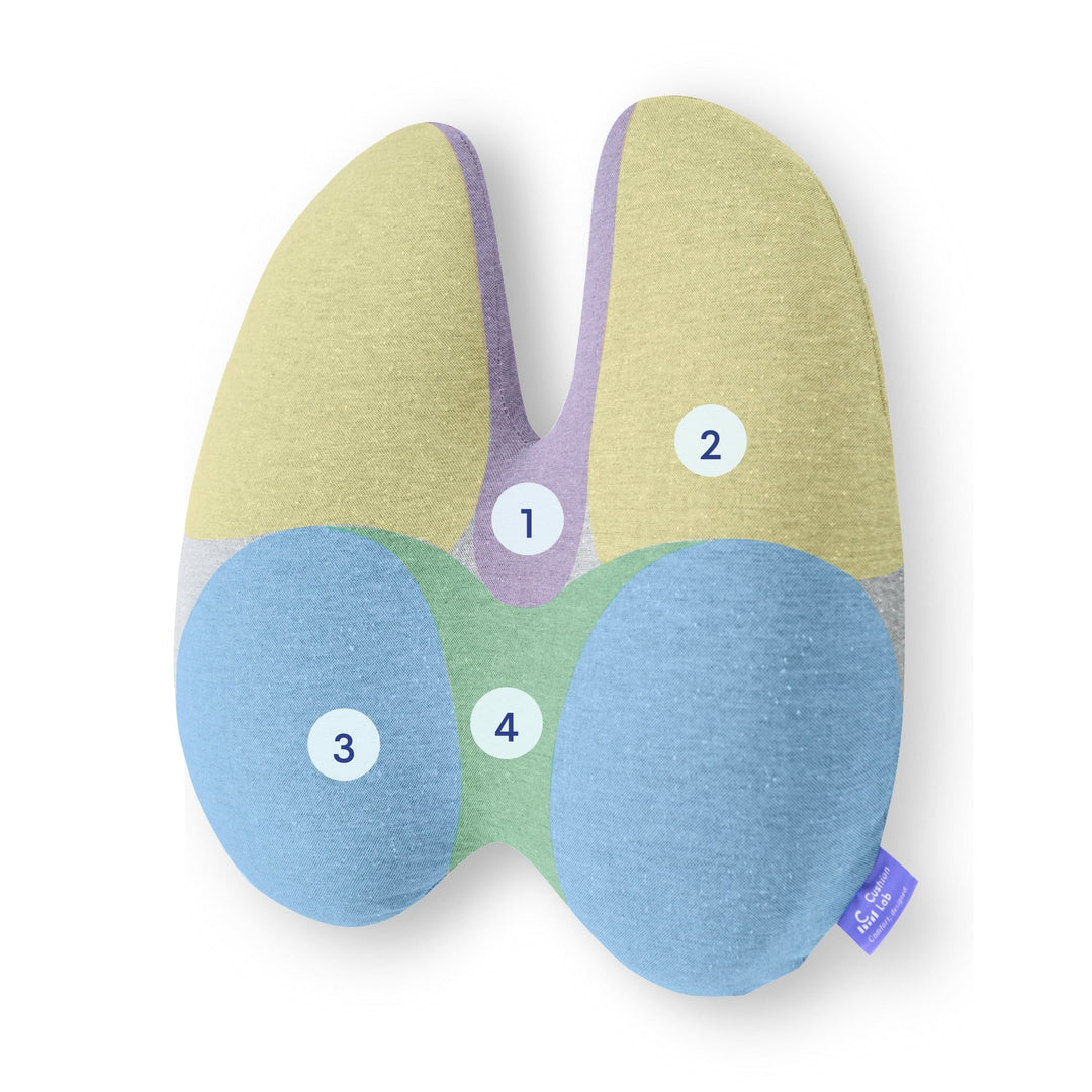 Lumbar Pain Cushion | Stornfield