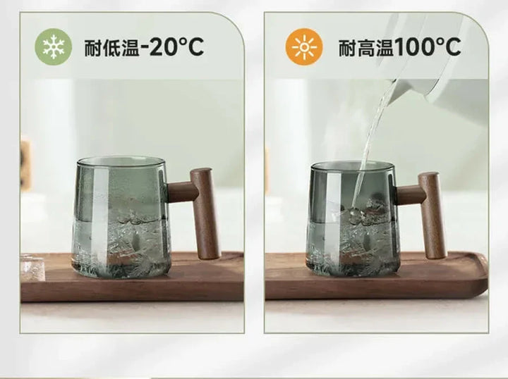 Stornfield | Ultra-modern glass teacup with infuser and lid