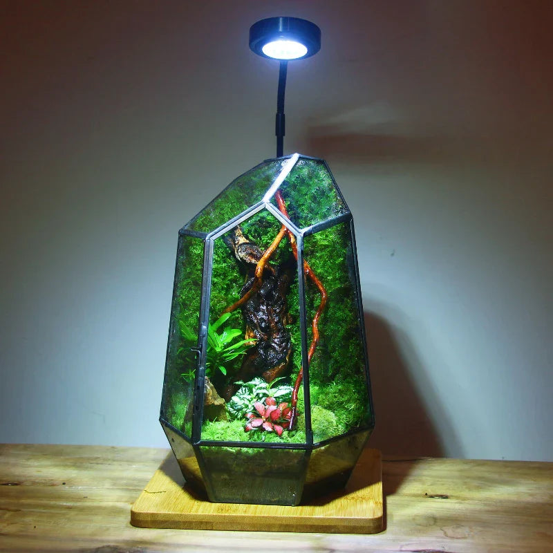 Modern Geometric Nature-Inspired Botanical Terrarium | Stornfield