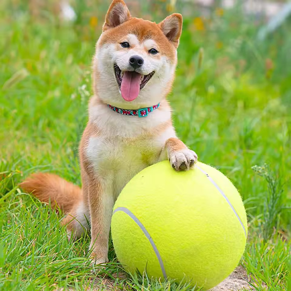 Stornfield extra-large dog tennis ball