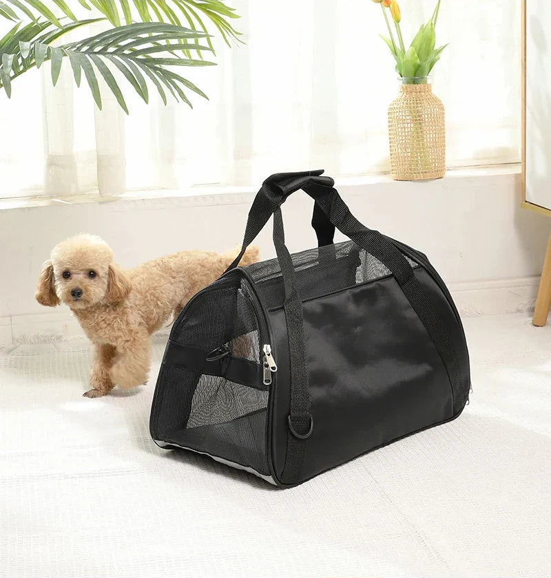 Foldable Pet Carrier for Travel Stornfield