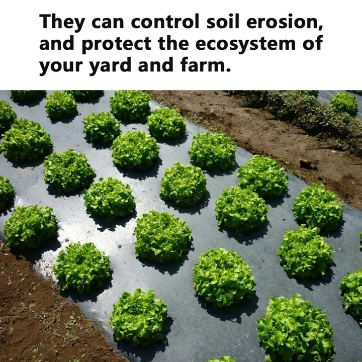 Stornfield | AgroShield Weed Fabric | Black Mulch Film | Plant Protection & Yield Increase | Ideal for Greenhouses