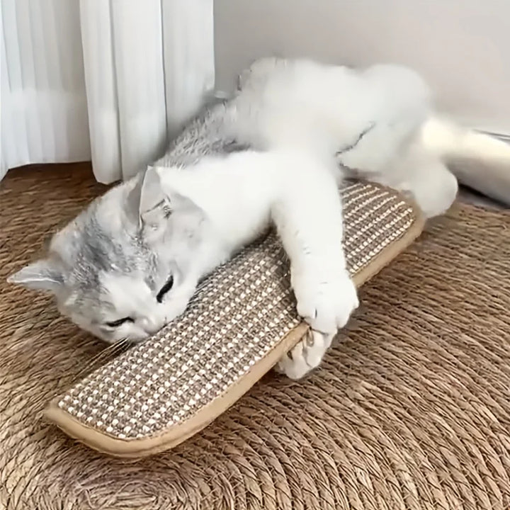 Stornfield durable and sturdy catnip scratching pillow for cats