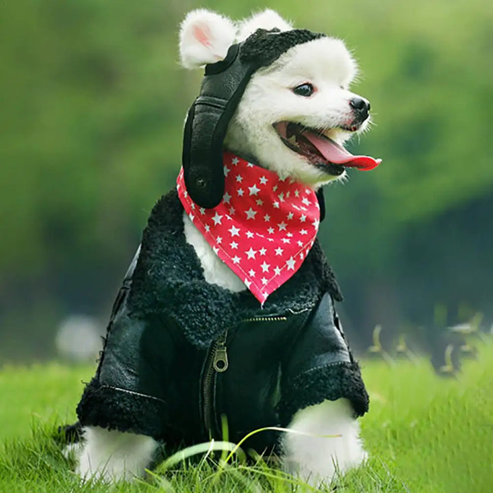 Winter pilot cap for pets warm and comfortable Stornfield