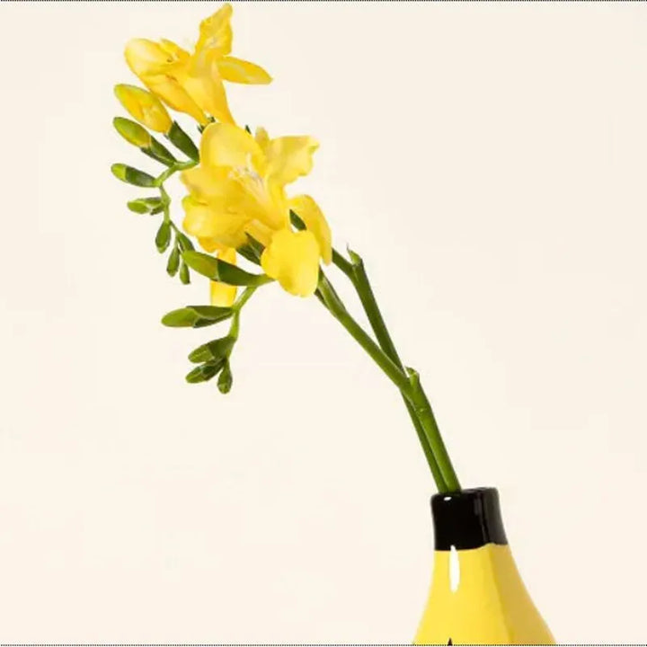 Banana Vase | Stornfield