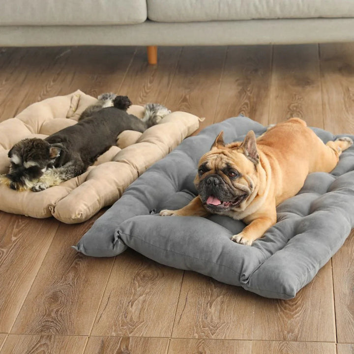 Cozy 3-in-1 bed for pets | Stornfield