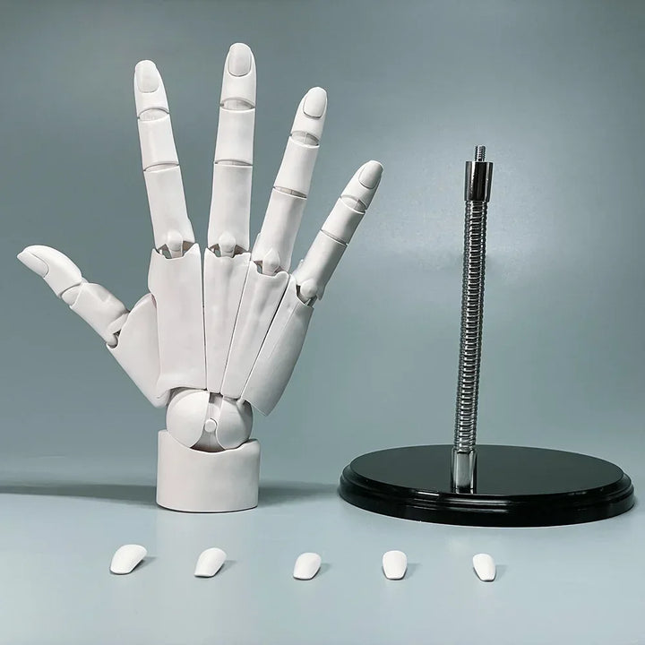 Multi-Pose Drawing Sculpting Art Hand Model | Stornfield
