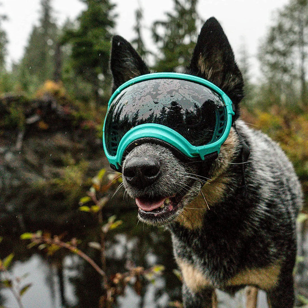Stornfield adjustable windproof dog sunglasses with UV protection