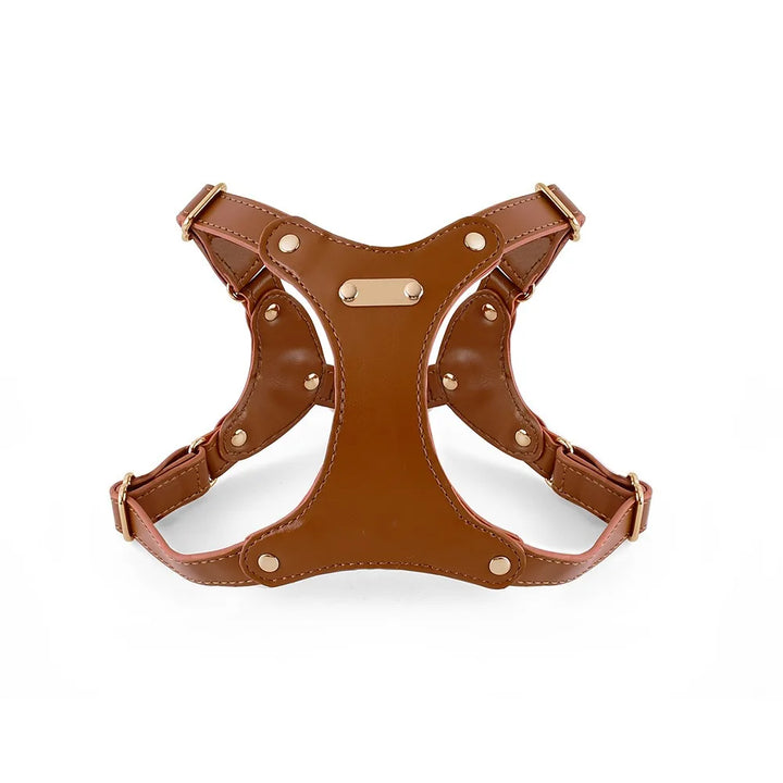 Adjustable Leather Dog Harness with Custom Engraving Stornfield